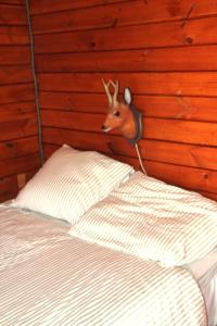 Retraitehuisje Westerwolde