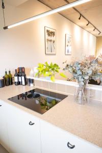 Spacious, Stylish Flat Near Stadium, 15 min from Soho