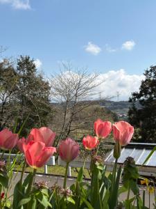 Torinami Fuji View House