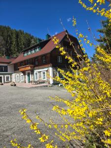 Landhaus Grünjuwel