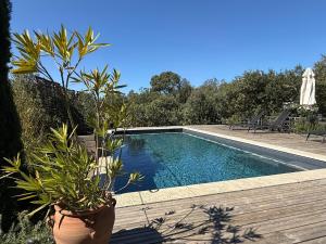 Les Etoiles de Saturnin