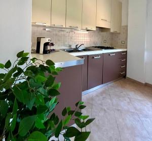 Camilla's House img2