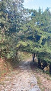 The Hidden Forest Loft - Secluded Trek Stay in Mukteshwar by THHPSOCIETY