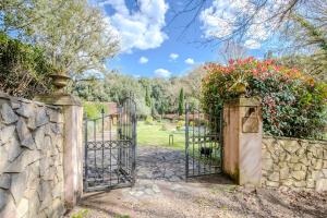 Casa il Leccio - Pool & Forest Hideaway in Tuscany