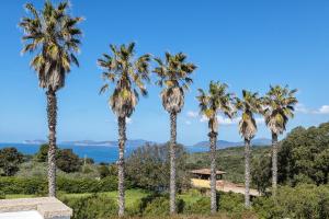 Villa Verde degli Ulivi - Luxury Seaview img44