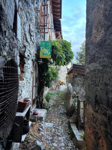 Via del Campo 98