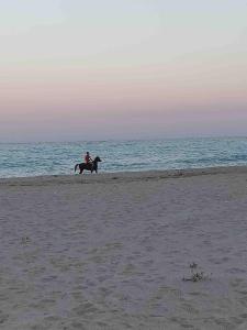 Villa Peppina on the beach