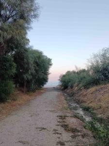 Villa Peppina on the beach