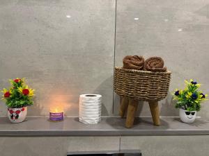 Oak & Olive Stay by Komal