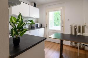 MZK Maier Green Oasis Modern and Bright