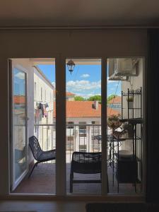 Boutique suite 01 Pets