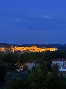 Un balcon sur la Cité médiévale, appartement cosy et lumineux