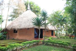 Ban Din Resort Chiang Rai