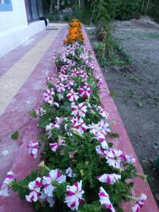 Chamspal zotpa home stay