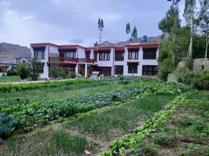 Chamspal zotpa home stay