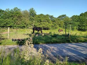 Brøndsted Water Mill - The Millers House