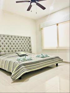 Ph and apartments riviera Maya