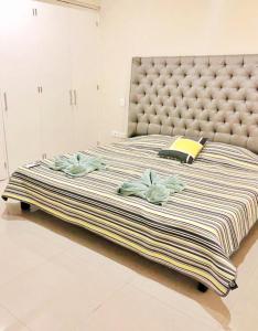 Ph and apartments riviera Maya