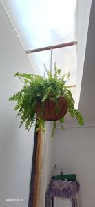 Habitaciones turísticas copitos