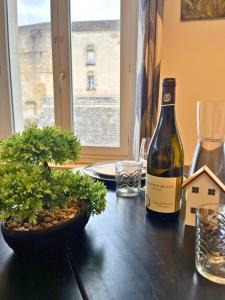 T2 Amboise avec vue sur le Château Royal