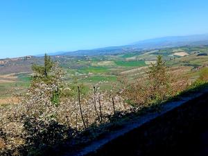 Appartamento Athena-Montepulciano House
