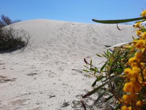 Rena Majore Villette a Schiera img15