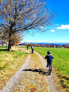 Tiny House 1 im schönen Allgäu mit großem Garten, Naturnah