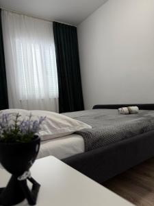 Starigrad Paklenica-Josipa apartmani