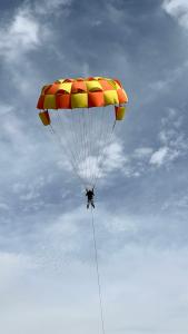 Desert cactus camp Jaisalmer