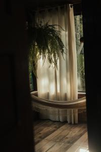 Cabanas na Serra - Celeste, natureza & privacidade