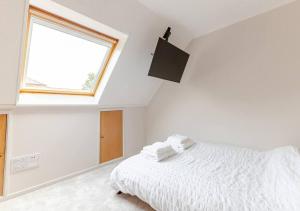 Luxury whole house in serene cul-de-sac