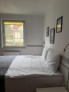 Apartamenty i Pokoje Magnolia