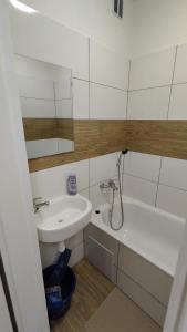 Apartmán pro 4 osoby, Habartov H2