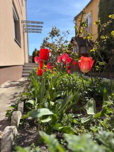 Malomfészek Apartman