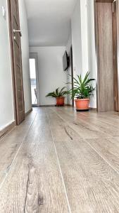 Malomfészek Apartman