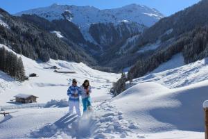 Chalet Ursteinhütte