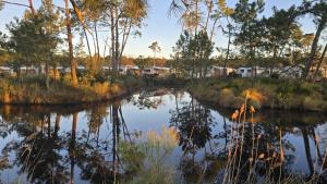 Mobilhome 6 pers-vue bassin-plage-clim