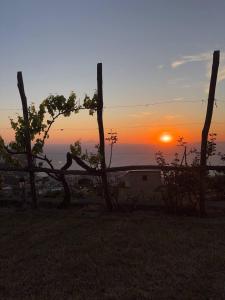 Casa Vacanze Mare Fuori