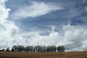 HILLTOP - Vacation STAY 21869