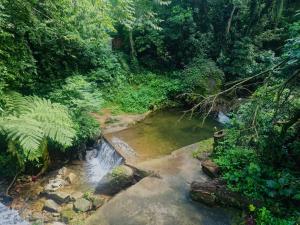Casa Pocinho de Muriqui