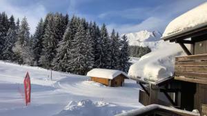 Appartement Praz de Lys Centre Station