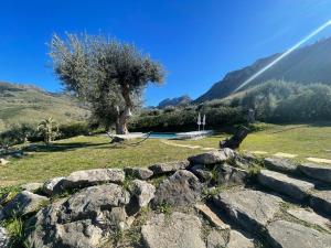 Tenute Armani The Castle Live an Experience