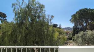 T2 50m2 traversant - Toulon bas faron - parking gratuit et clim