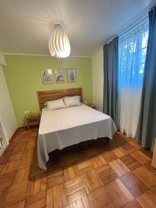 Comfortable semi-basement apartment in Providencia