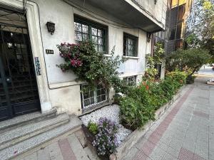 Comfortable semi-basement apartment in Providencia