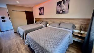 Executive Bussines apartment