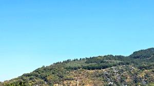 Cozy Apartment with Mountain View Great Location