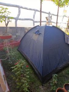 Los Olivos Tent Camp