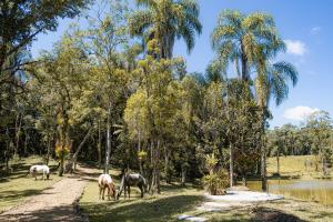 Morada dos Sonhos - Jardim Santa Maria