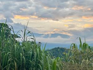 Posada Rural Aguita de Panela